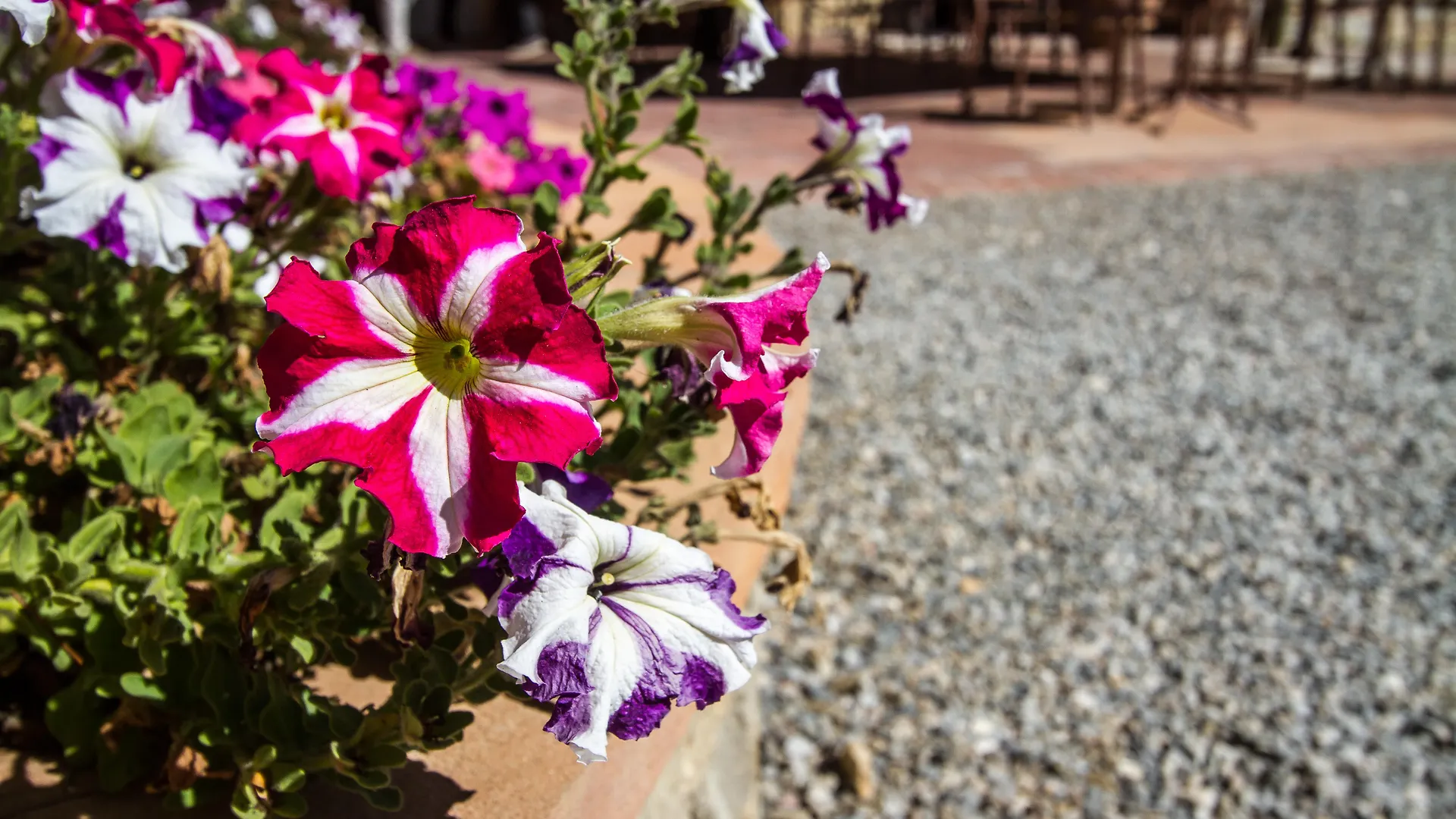 Relais Villa Olmo - Place Of Charme Impruneta 4*,  Italien